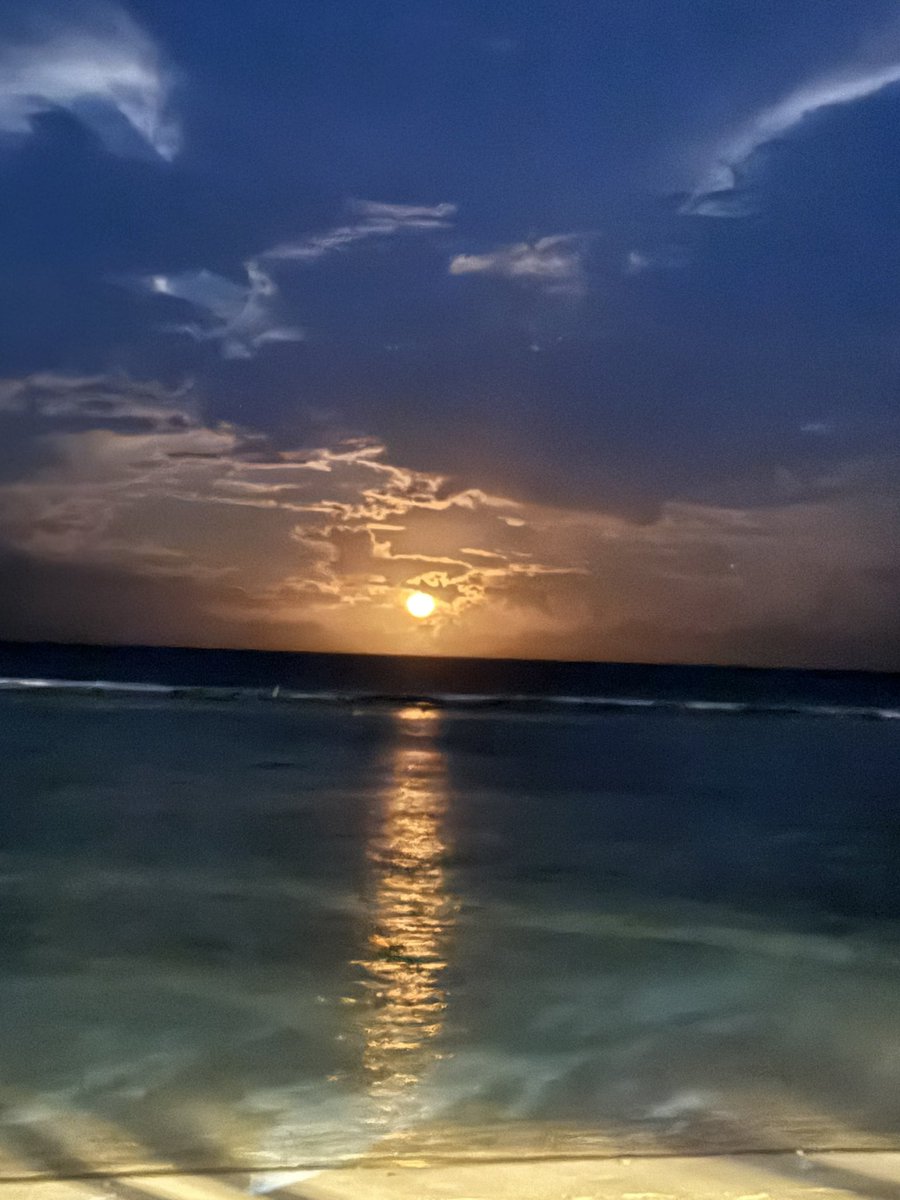 HFulhu's tweet photo. https://t.co/IBVH6slckw