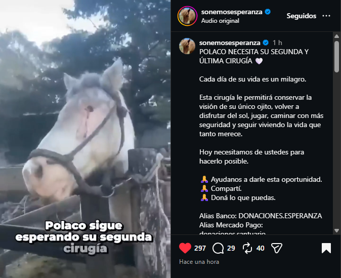 yagiba 🍵 tweet media