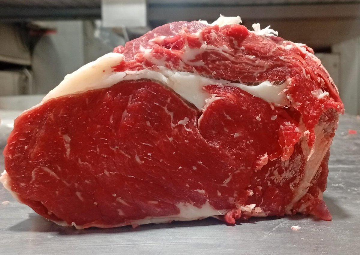 fvaldezzzz's tweet photo. @FelipeAgustinD @VascoSallaberry @SusterraAgro No es nulo el marbling, pero es mínimo (van fotos). Hicimos la prueba con mej compañeros de los novillos que faenamos, pero encerrados prácticamente la mitad de tiempo,y los bifes si salieron 100% magros. https://t.co/qWULOXUJGw