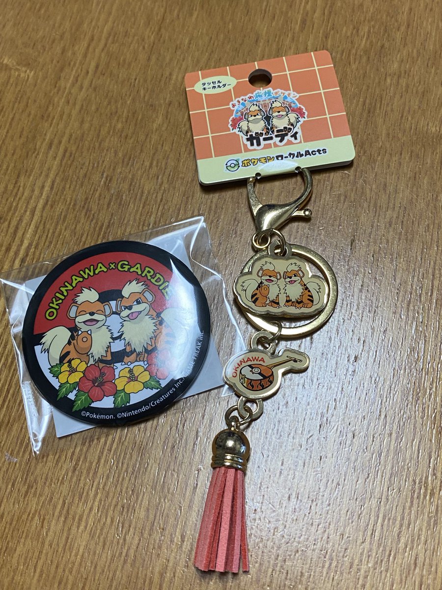 cool201703's tweet photo. 家族が沖縄に旅行へ行って帰ってきてお土産を貰いました
ガーディ可愛い https://t.co/AiEL6szV1o