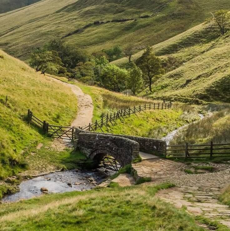 beautyexplorer0's tweet photo. English countryside https://t.co/lBtn8trim5
