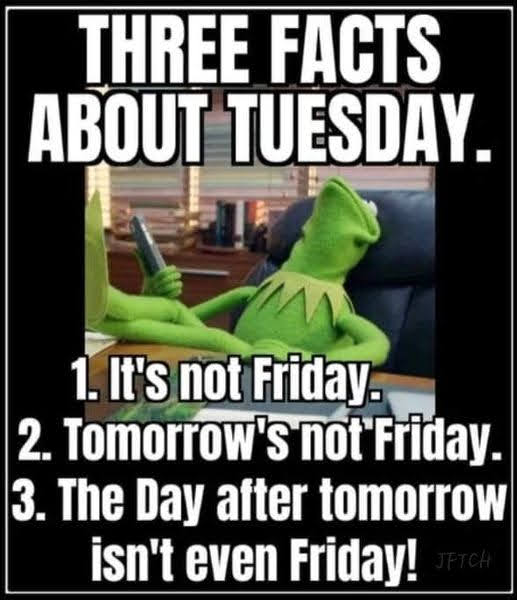 Friday Fun 😀 tweet media