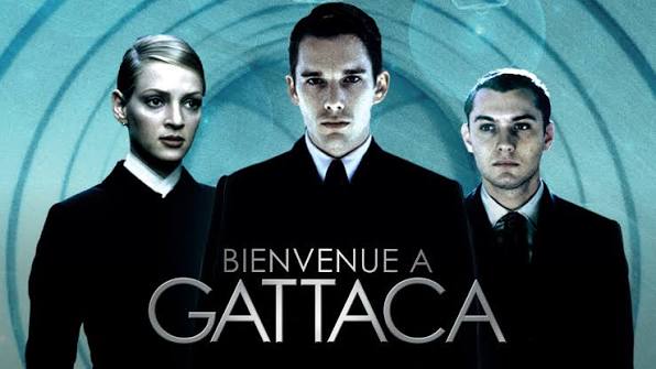 Le Solitaire tweet media