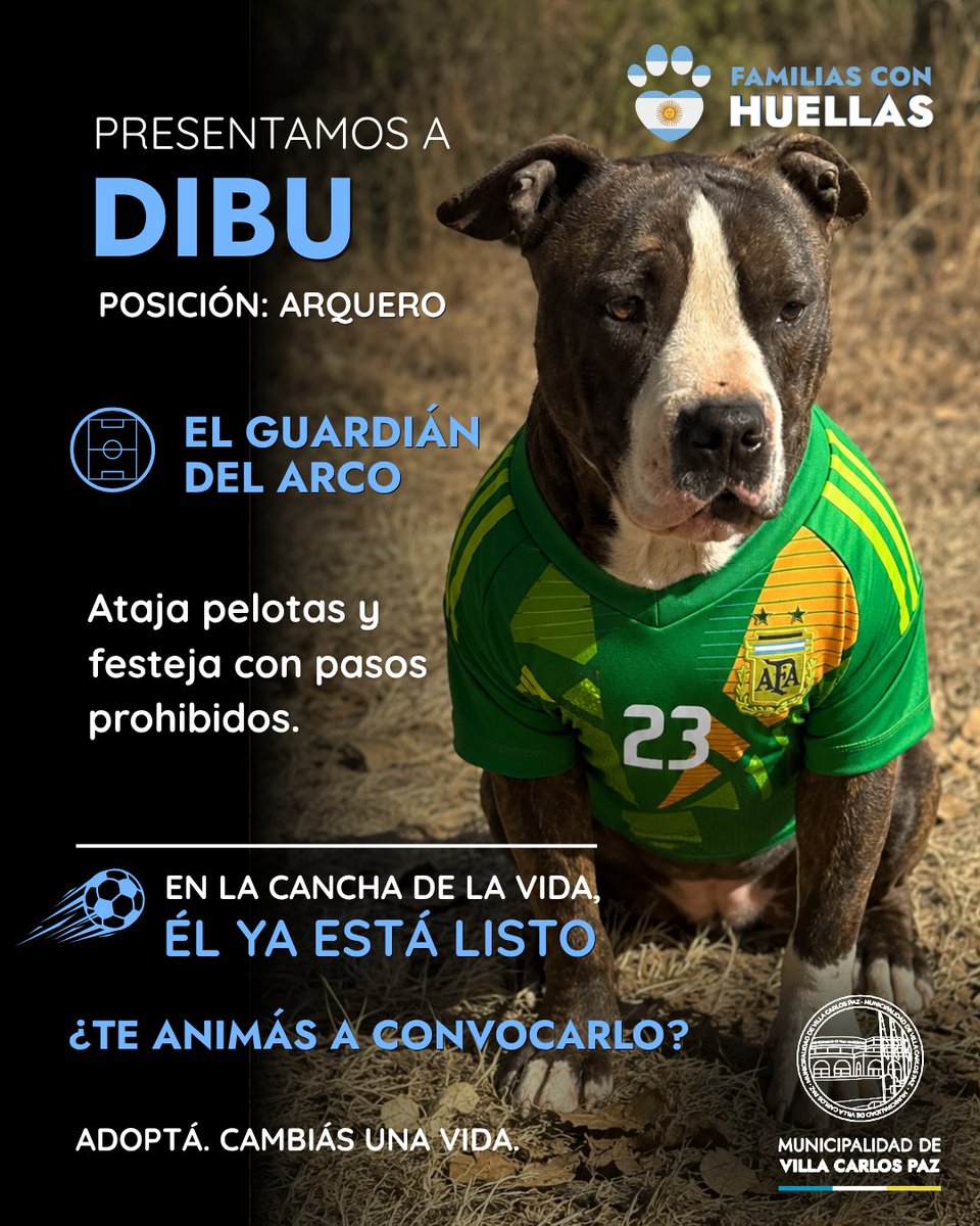 munivcp's tweet photo. Nuestro arco también está muy bien protegido, tenemos a nuestro propio Dibu con sus bailecitos y todo. 

Y ni te cuento lo que juegan nuestros delanteros, imparables! https://t.co/Fld46sySvh