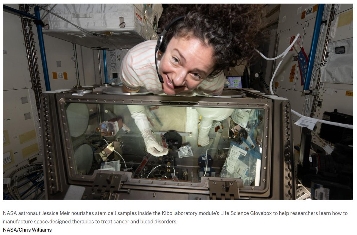 NASABlueberry1's tweet photo. "NASA is growing stem cells on the International Space Station to learn how to manufacture treatments for cancer and blood disorders. 🔬

Weightlessness changes how cells self-replicate. We are literally using space to cure diseases on Earth." https://t.co/osnEwuwSMk