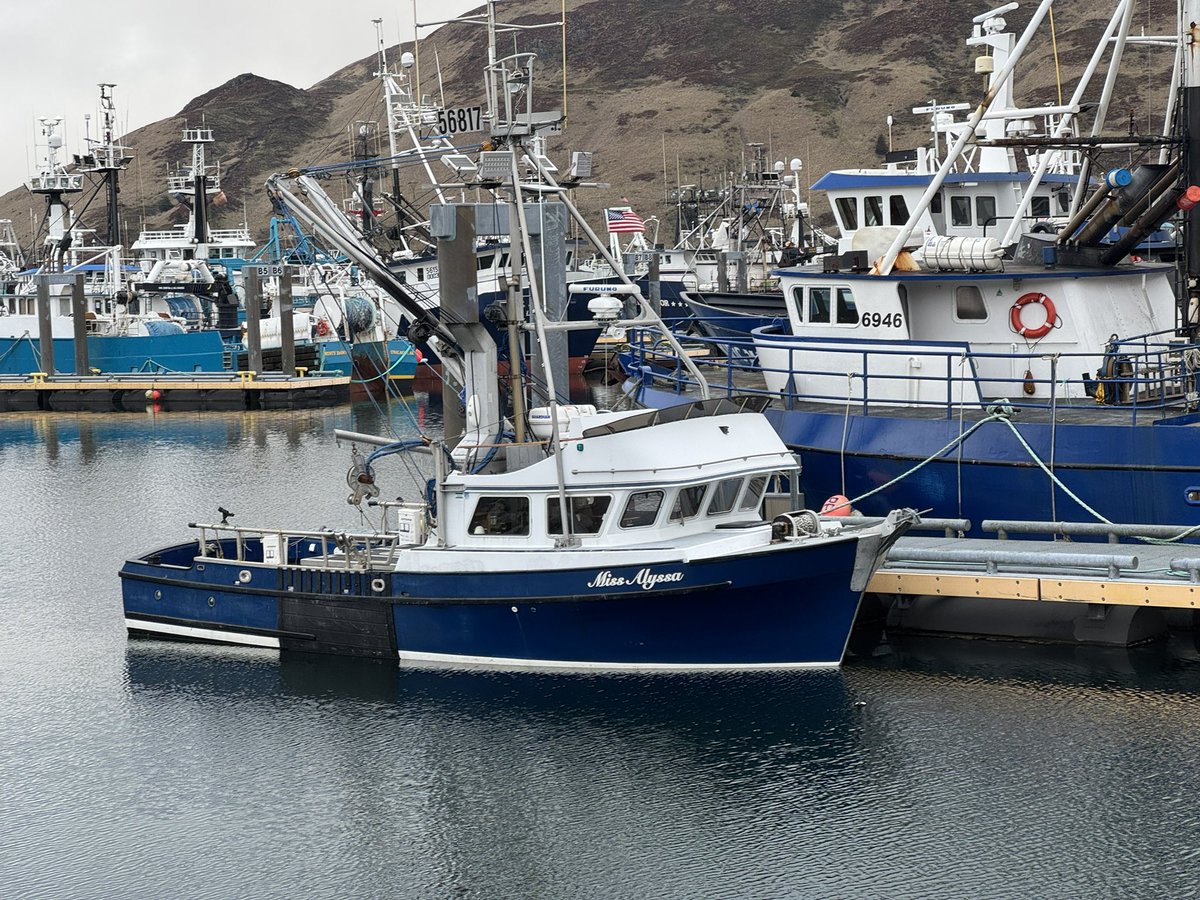 Yellowbrow's tweet photo. A memorable day out of Dutch Harbor on Sunday in search of some of the local seabird specialities. A cracking day all round! 1/2 https://t.co/TE6JNheVCg