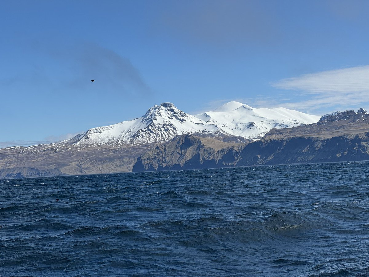 Yellowbrow's tweet photo. A memorable day out of Dutch Harbor on Sunday in search of some of the local seabird specialities. A cracking day all round! 1/2 https://t.co/TE6JNheVCg