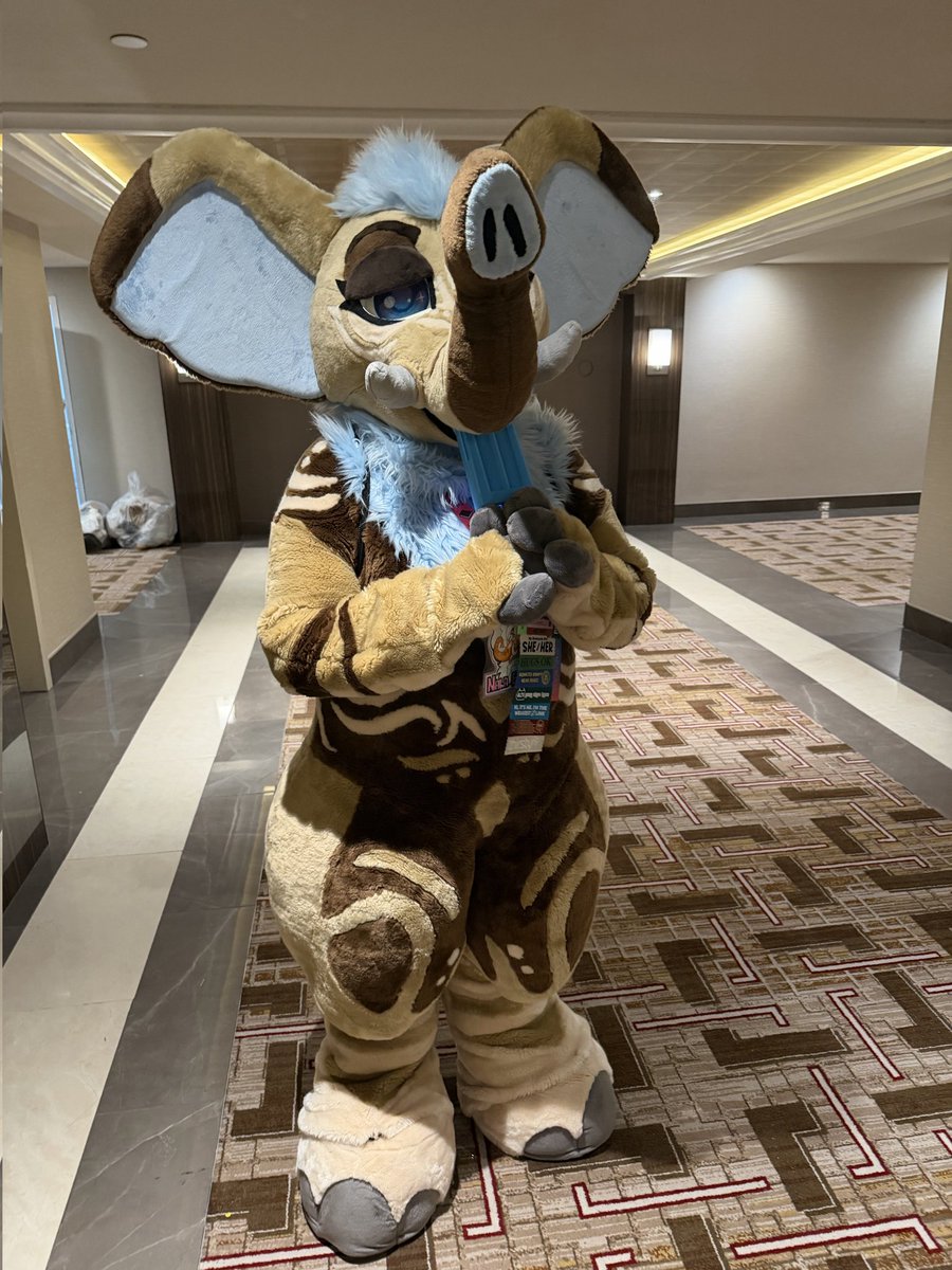 Nala_Elephant's tweet photo. RARE AND UNCOMMON FURSONA MEET AND GREET IS A GO FOR ANTHROCON

With this news id like to get a poster designed. Im offering free art for rare and uncommon sonas to be featured. Post your refs below for a chance. 

Please RT, and follows are always welcome, I love hosting these! https://t.co/HXSfcjFhNU