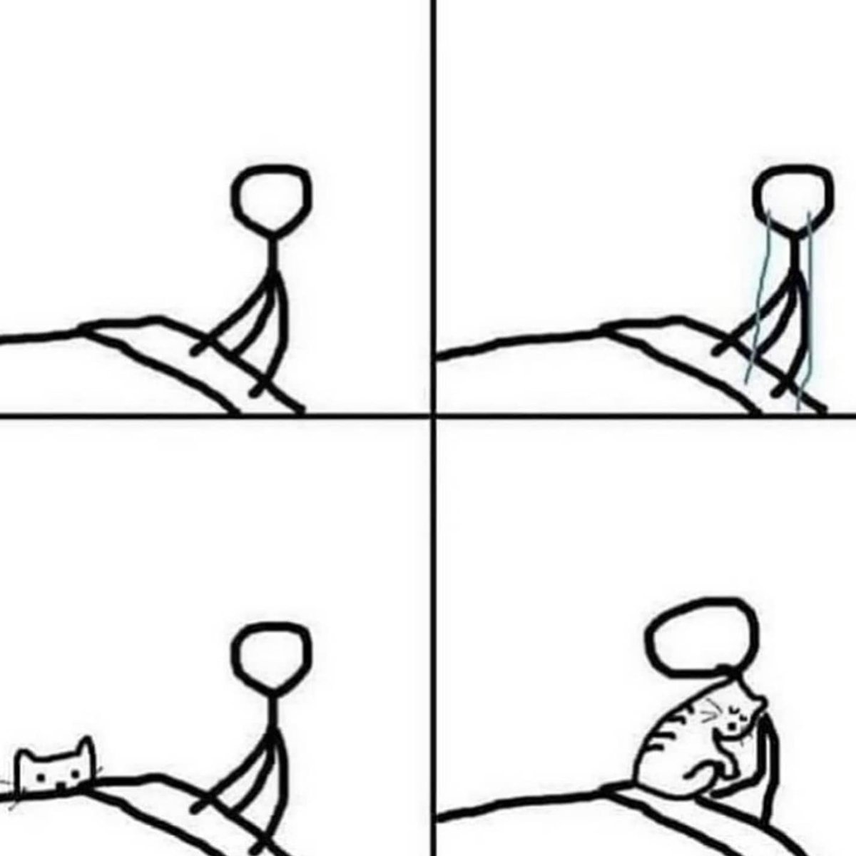 Punch Cat tweet media