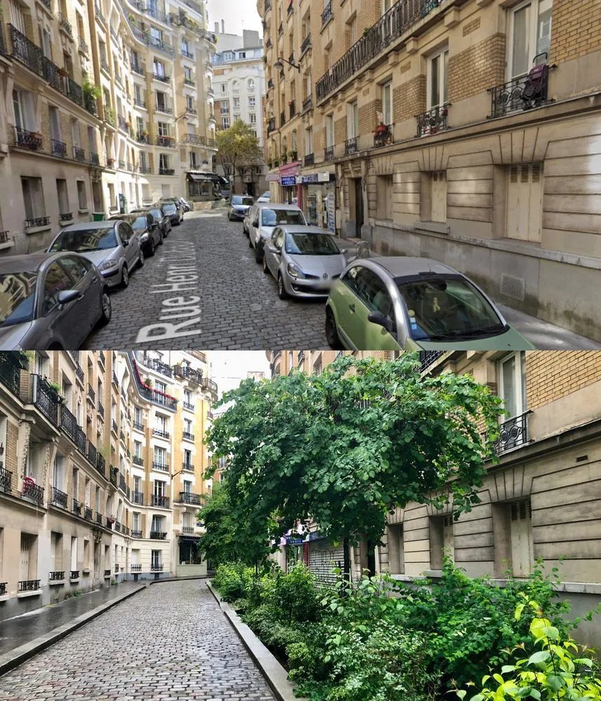 EmmanuelSPV's tweet photo. Avant / Après Rue Henri Dubouillon dans le 20ème  arrondissement de Paris. Ces arbres ont été plantés ici il y a trois ans lors de la piétonnisation de la rue. https://t.co/dGn6rAENr9