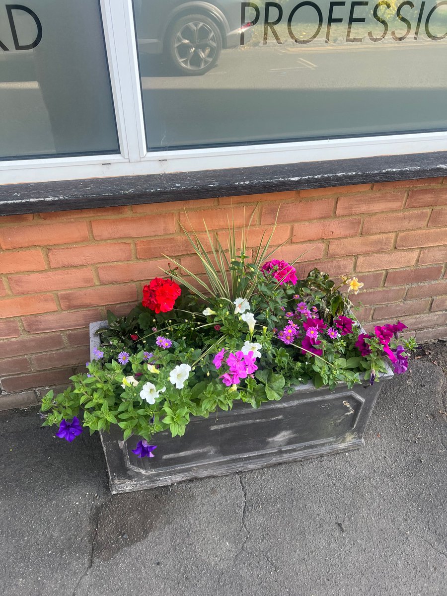hartbrown's tweet photo. Our lovely #Cranleigh office is looking particularly cheery at the moment as we are proudly supporting Cranleigh In Bloom for another year. 🌻

Our thanks go to everyone involved in the organising of this local initiative.

#Cranleigh #CranleighLawyers #CranleighInBloom https://t.co/2s9D6vzlGV