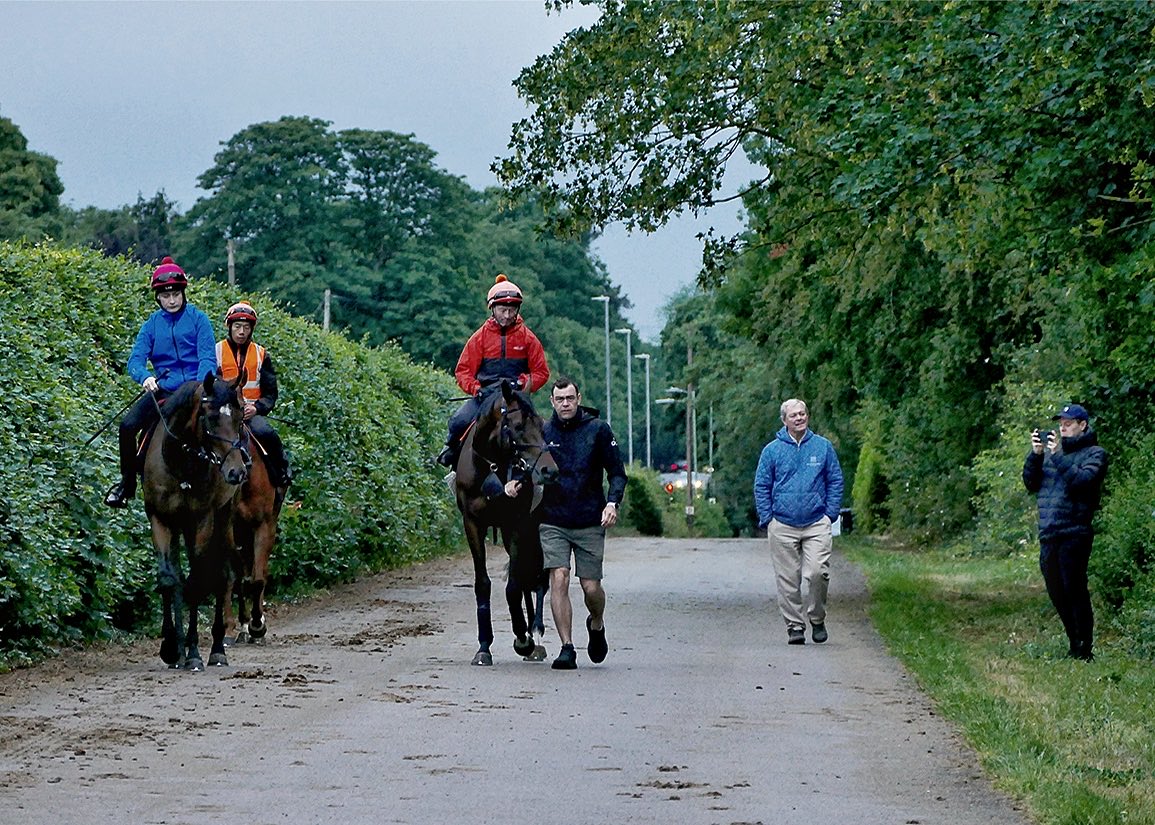 CollingsBerry's tweet photo. The Derby excitement cranked up a notch this morning while watching Maltese Cross complete his final piece of work. His trainer William Haggas reflects on Shaamit and other matters in this piece for @TheTDN.

https://t.co/XrmzOhDymv https://t.co/2lrOGavmIn