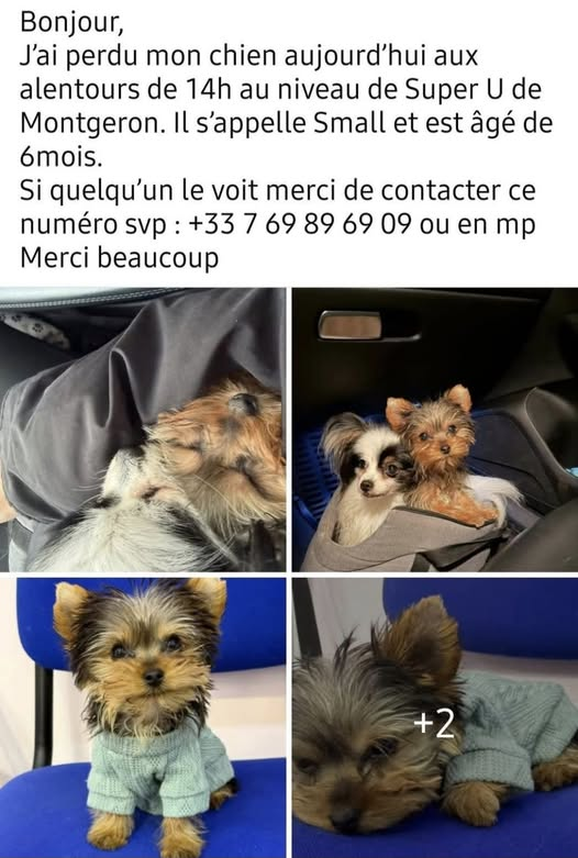 BRINDILLE85 💙🤍💔 🧡 tweet media