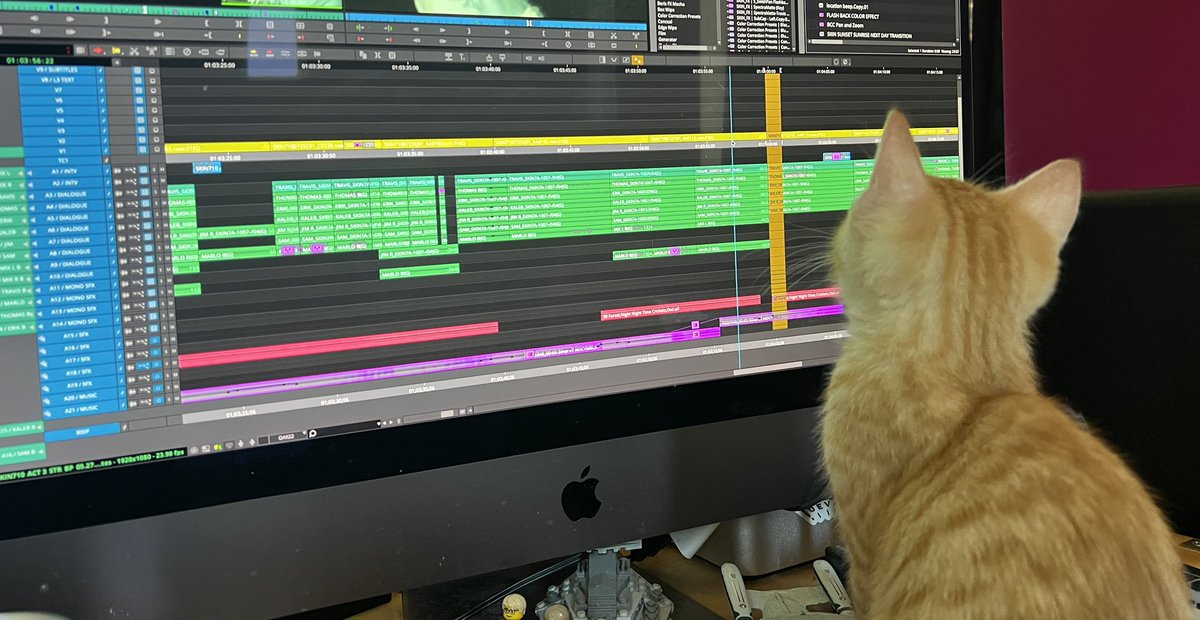 comebackshane's tweet photo. Simba Jim scrutinizes my work for #timelinetuesday https://t.co/5uipztm7j1