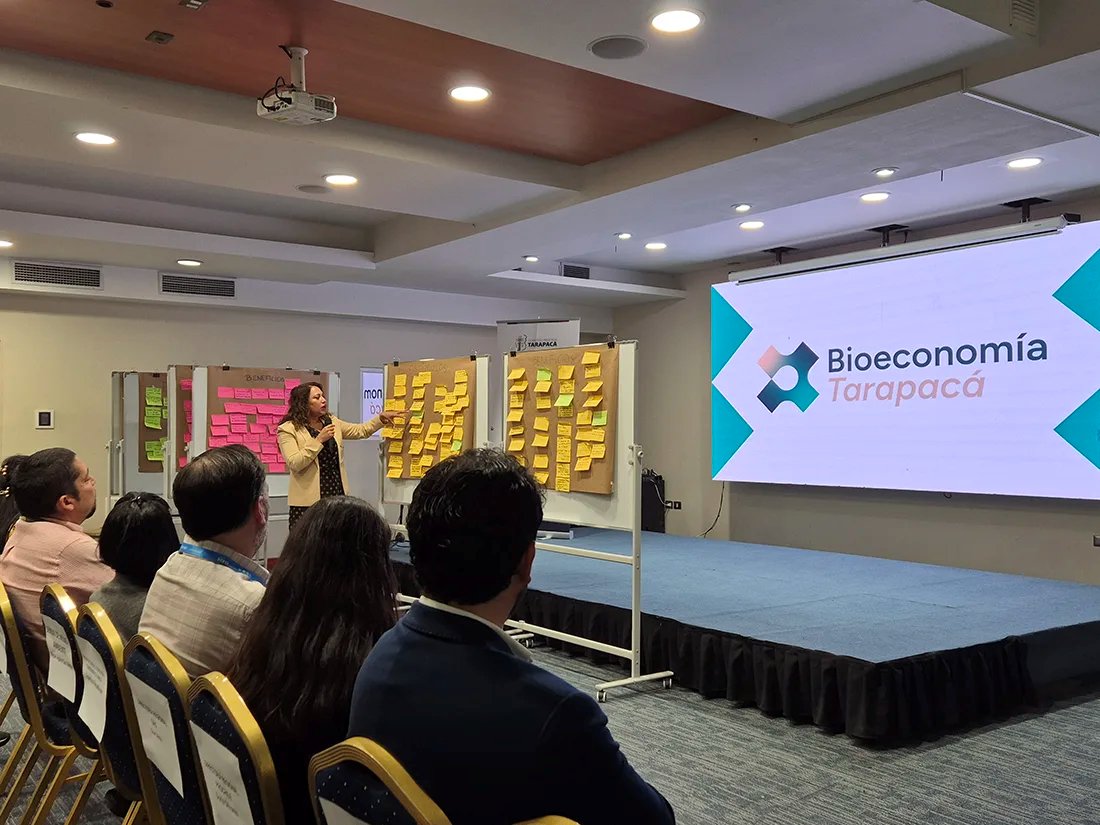 Columbus_1987's tweet photo. 🌵 El 22 de abril, representantes del sector público, privado y académico se reunieron en una Search Conference liderado por Columbus.

Actores públicos, privados y académicos diseñaron juntos una hoja de ruta regional. 🌱☀️

📄 https://t.co/fGsLa0crJ6 https://t.co/JxvOXCHLKr