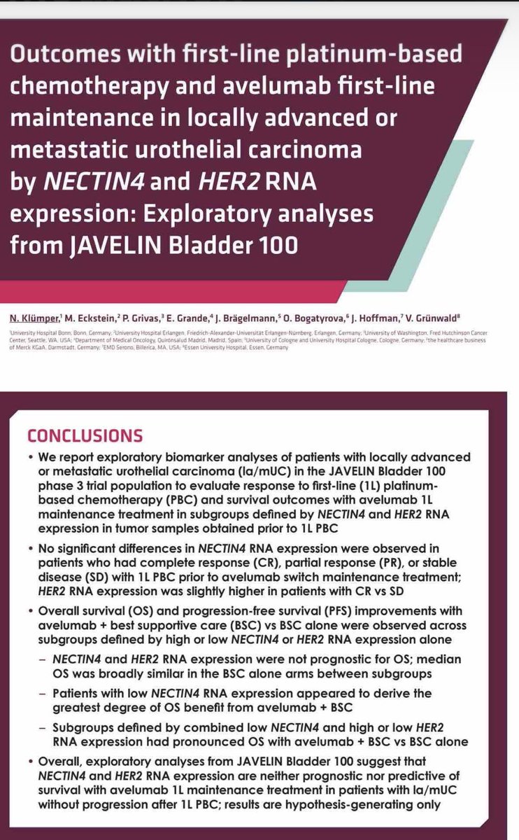 niklas_kluemper's tweet photo. Happy to present exciting biomarker data from JAVELIN Bladder100 at #ASCO26

✅ NECTIN4 & HER2 were not prognostic for outcomes with platinum chemo + avelumab maintenance.

💡 What stands out: patients with low NECTIN4 RNA had numerically prolonged median OS with avelumab maintenance (App. 30 months) —particularly intriguing given emerging EVP data from us and the MSKCC suggesting less favorable outcomes in low-NECTIN4 tumors.
@Dr_Aggen @MichalSternsch @DrRosenbergMSK 

Also important biological validation: HER2/NECTIN4 = overexpressed in luminal UC, while basal-squamous tumors show lower HER2/NECTIN4 and are at higher risk on EVP and DVP! @jonchou05 

Ba/ Sq known to have higher EGFR -> will be exciting to explore these tumors within the Iza-Bren program!

Thanks to a great team! 
@PGrivasMDPhD @drenriquegrande @Markuseckstein3 @braegelmannlab @ViktorGruenwald & @merck_de 

@OncoAlert @weoncologists @PTarantinoMD @DrChoueiri @Uromigos @DrYukselUrun @nachoduranm @montypal @shilpaonc @apolo_andrea @Dr_Aggen @urotoday