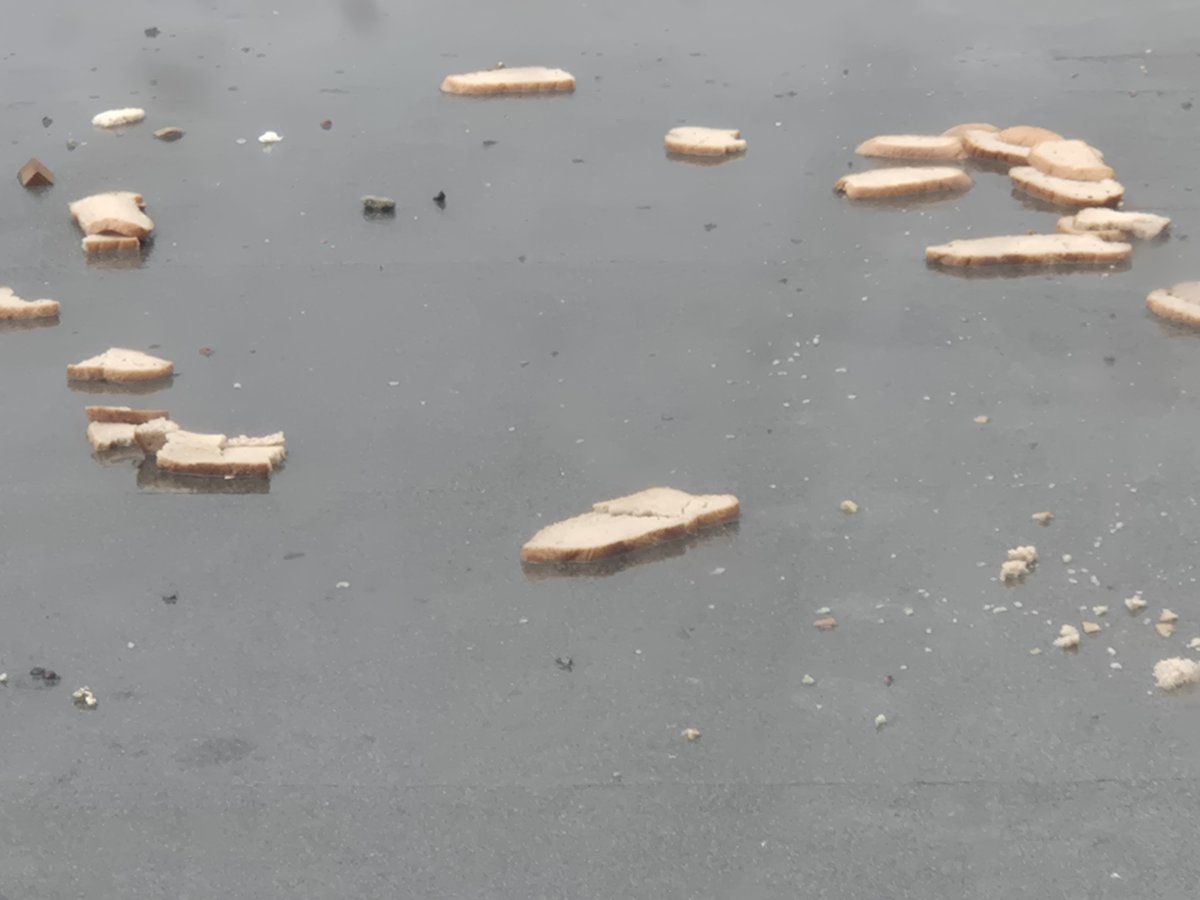 WikisDonwork's tweet photo. I'm so done with the uk bro some idiot threw bread on the roof https://t.co/Cx9cdLkNbd