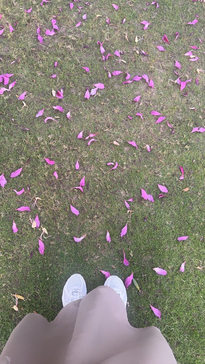i3Zi___'s tweet photo. قد يكون عدم نمو بستانك انه في كل مرة تنبت فيه زهرة تقطفها لاحدهم لتثبت انك مزارع ✨💜 https://t.co/vMNsjH0bBY