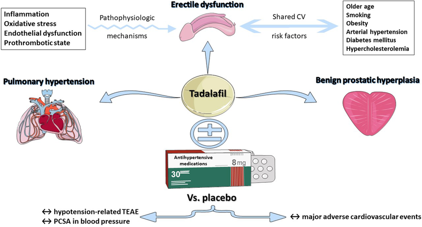 morellifit's tweet photo. Many people assume Cialis (tadalafil) is only for one specific purpose, getting hard.

It is actually a highly effective tool for overall blood flow, cardiovascular health and potentially hair health.

Tadalafil, explained: (1/16) https://t.co/YVBHXCAgQe