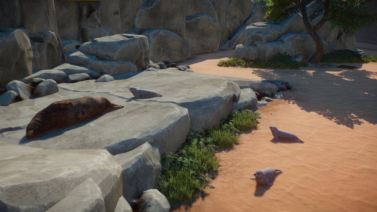 dazunlocked's tweet photo. Our Planet Zoo 2 waiting room streams are in full force and we've been getting plenty of practice in for the future aquariums 😂 Only 133 days to go...

@PlanetZooGame #planetzoo 🦭 https://t.co/HRqDtPQMEV