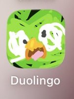 null_cocco's tweet photo. Duolingoアプデしたら顔ぐっちゃぐちゃなってるけどどしたん話きこか https://t.co/9qODjhk7Lo
