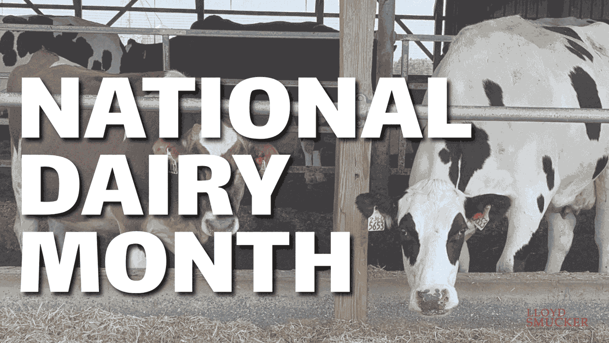 RepSmucker's tweet photo. June is National Dairy Month! 🥛 

With more than 6,000 family-owned farms, PA-11 is one of the top dairy-producing districts in the nation. 
 
Thank you to all our hardworking Pennsylvania farmers who drive our economy and feed our families. https://t.co/yjjvR0wzqo