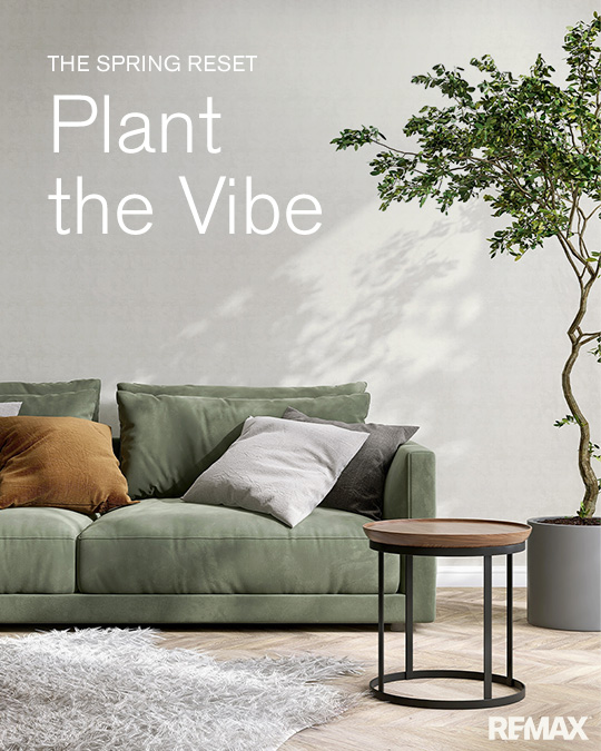 remax's tweet photo. Nothing says spring like a touch of green. From statement plants to simple accents, fresh greenery adds life, color, and calm to every room. 🪴 

Head to the REMAX blog for more houseplant inspo.
https://t.co/TlhGchVoNb https://t.co/pw4Eo1dPnZ