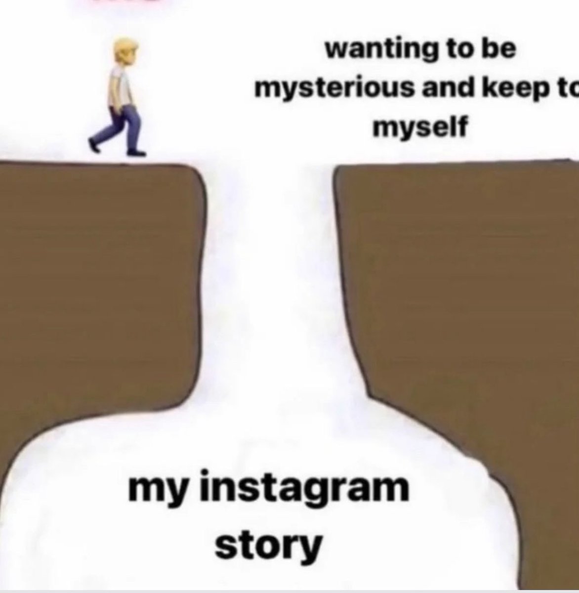 ✧ tweet media