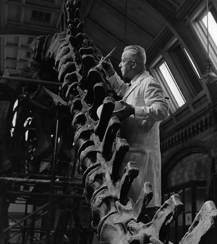 FDinosaurios's tweet photo. La huella filosófica d los dinosaurios: "Su extinción significaba q o Dios se había equivocado o el mundo no era perfecto" @elmundoes El descubrimiento d su existencia y su posterior extinción no sólo cambió la ciencia, sino tb nuestra forma d ver el mundo
https://t.co/p0ssiZnjnK https://t.co/h5FcAs0rzM