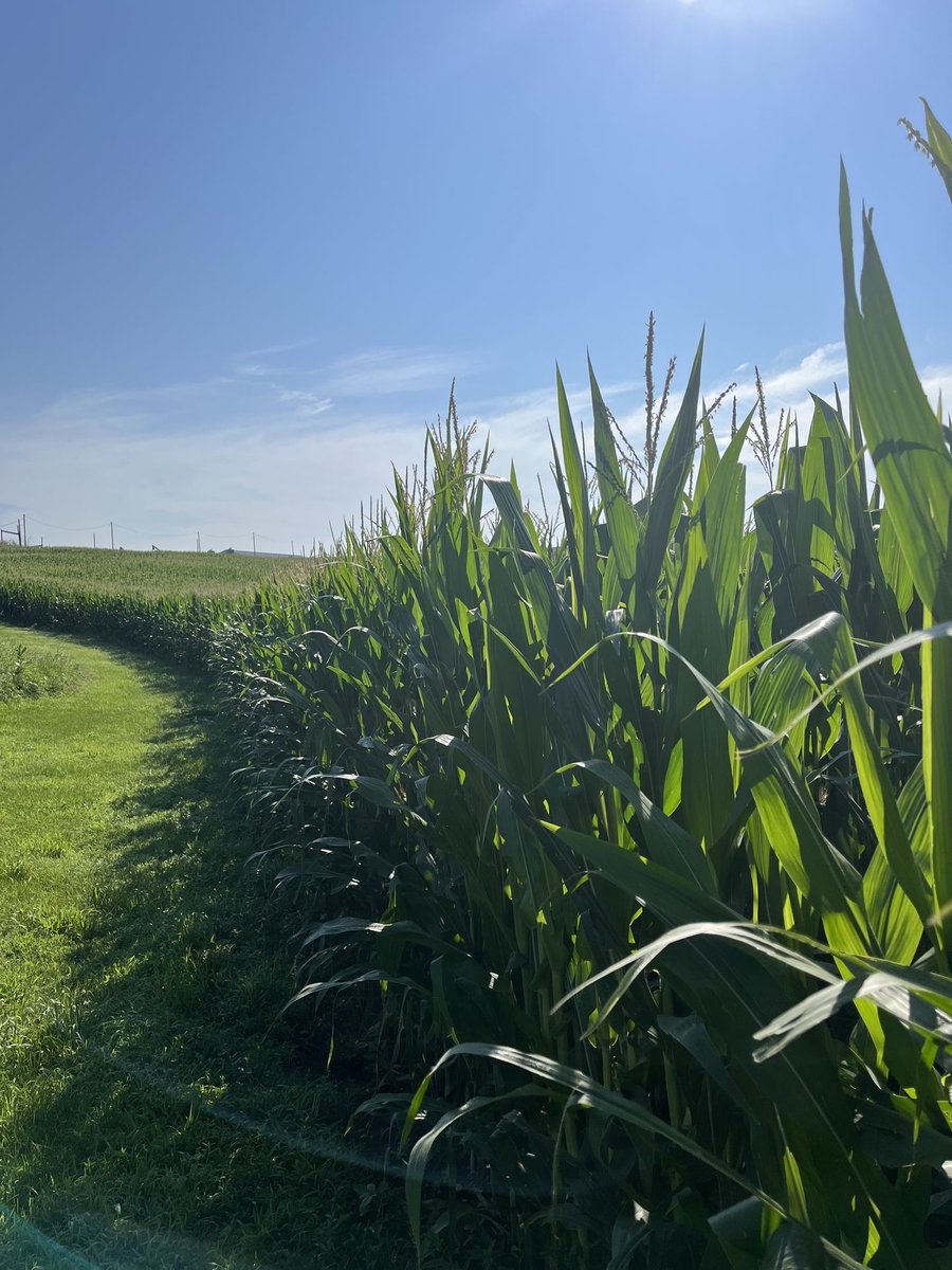HTSAg's tweet photo. You’ve got all the crop in and now you’re looking forward to the next task. Get your sprayer outfitted with technology that saves you input cost and allows you to get better coverage at faster speeds. RightSpot from Ag Leader. Call us for details and ask about 1.99% financing. https://t.co/jvwBY3KEcZ
