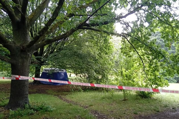 actonw3com's tweet photo. Acton Park Death Being Treated as Non-suspicious
Police rule out any connection with last month's attack near the pond https://t.co/fBN7hTK4Uw https://t.co/cywZnUSenC