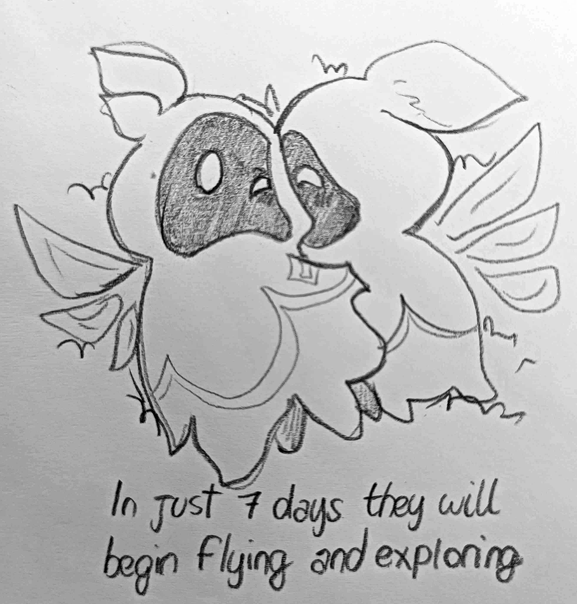 soy_lacertae's tweet photo. aside for a rare digital what ive drawn is mostly traditional doodles but i feel like some are worth sharing soooo #wispti #genshinimpact #genshinimpactfanart #venti (he's there somewhere).
based on vid linked in comment https://t.co/jFrjQNn2M4