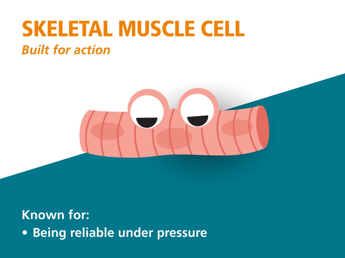 STEMCELLTech's tweet photo. https://t.co/jwcLiiEHnW