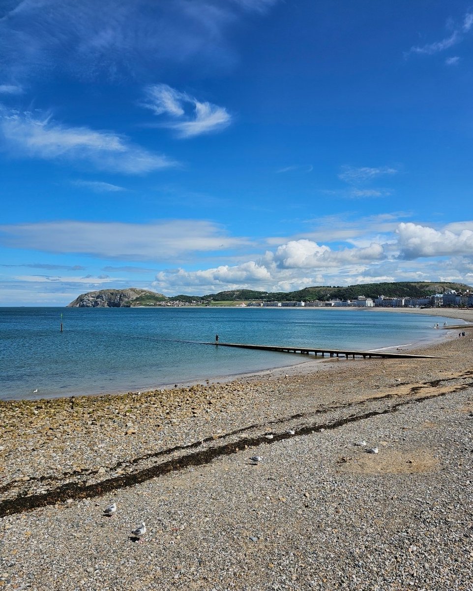 NJM71's tweet photo. One of my favourite places for long, breezy walks ❤️ the views from the top of The Great Orme are amazing (walking down is more enjoyable, tram ride up!). Still sunny and warm out even now ☀️ #Llandudno https://t.co/tdTGwnK68f