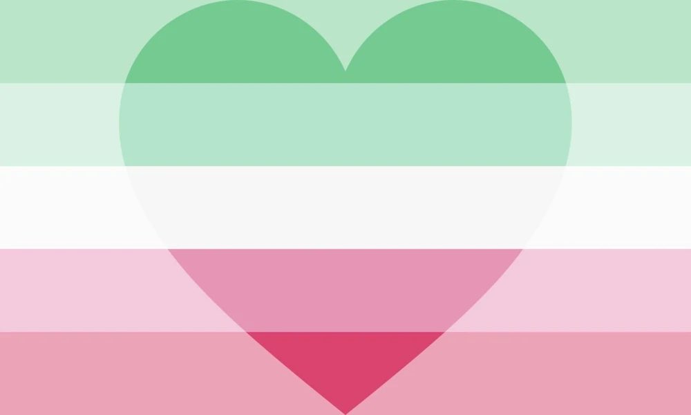 Olsune's tweet photo. Happy pride month everyone!! :D

I am sharing a bit of my pride in that I am Abrosexual and Abroromantic! :D https://t.co/oE1GVYq4zI