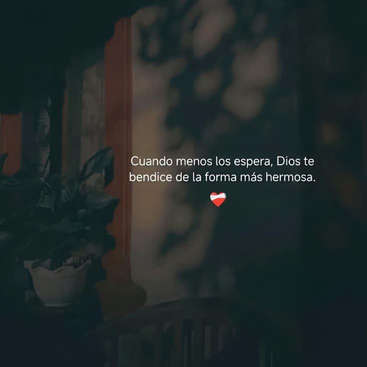 elsiervo__'s tweet photo. Dios es bueno. ❤️‍🩹 https://t.co/XLzlNr7G0n
