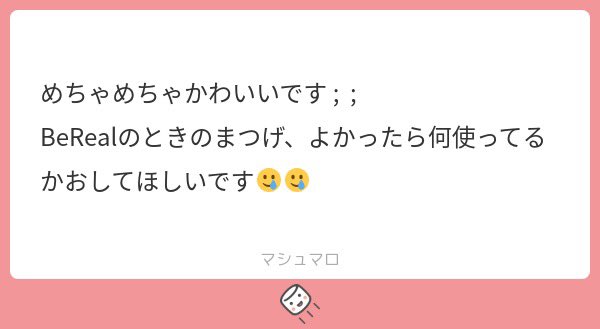 猫派 tweet media