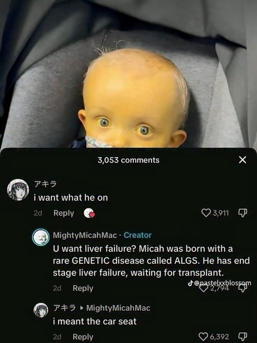 RealestMemes tweet media