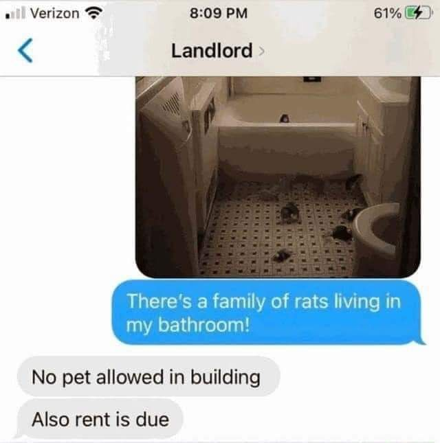 RealestMemes_'s tweet photo. https://t.co/czJT8RSp53