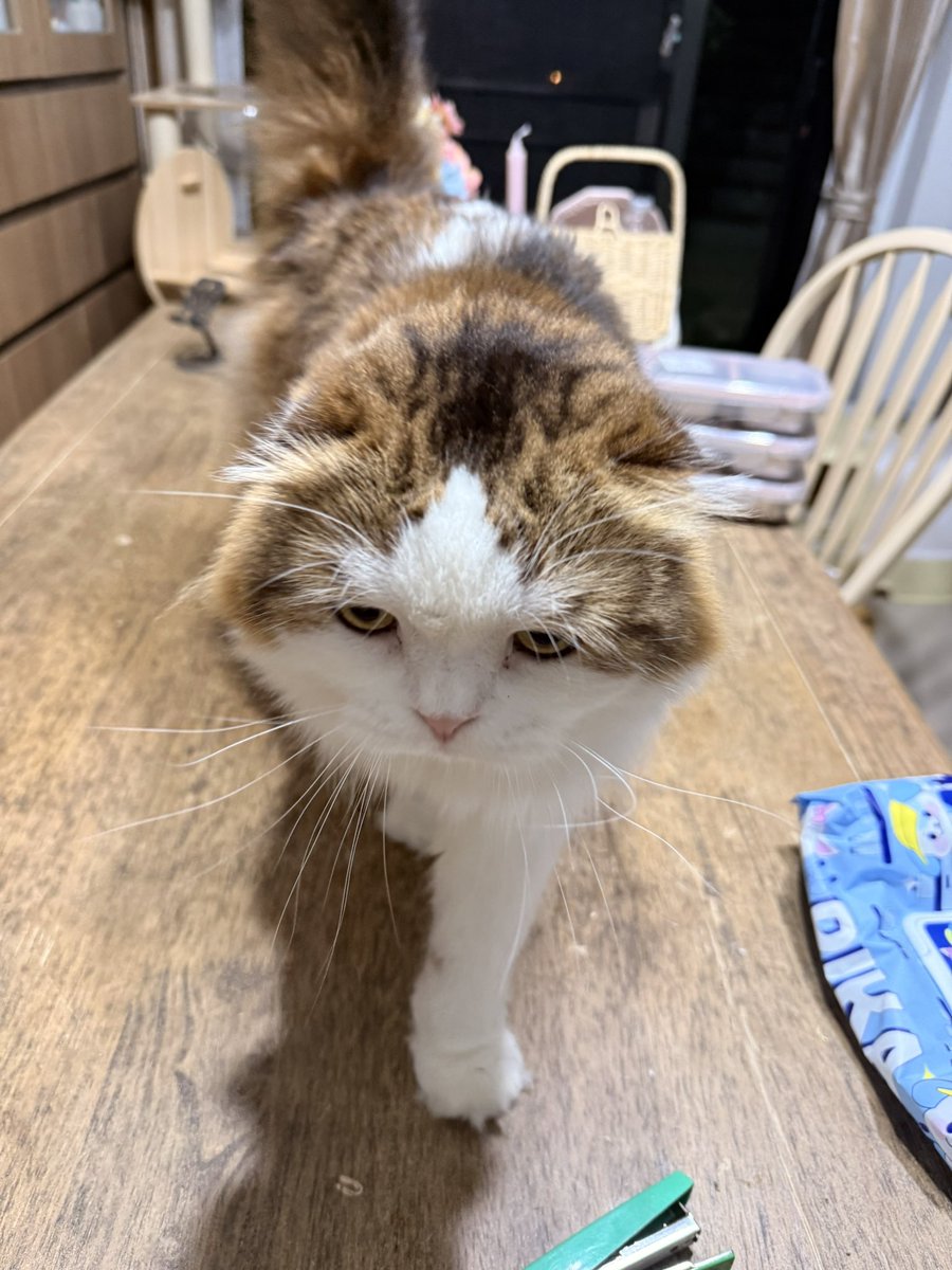 filmkitty_'s tweet photo. IM HOME!!! https://t.co/iZCsRY5D6k