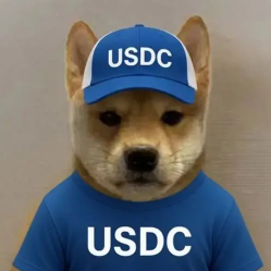 devolutionfun's tweet photo. We have ran an Inu for every meta...

Liquidinu, Copperinu, Inuhanced, Goldinu, Oilinu.......

But we have never ran a USDC Inu???

Crypto is Nuking and we need to protect capital and Stable.

$USDCINU - Hedge against the market. https://t.co/coH6KwFAVm