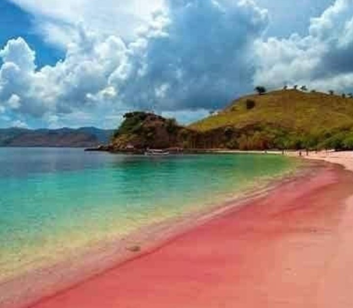 AramburuMorelia's tweet photo. Hermosa playa Rosada Macuro estado Sucre Venezuela 🇻🇪 https://t.co/Z8wW3ufEoU