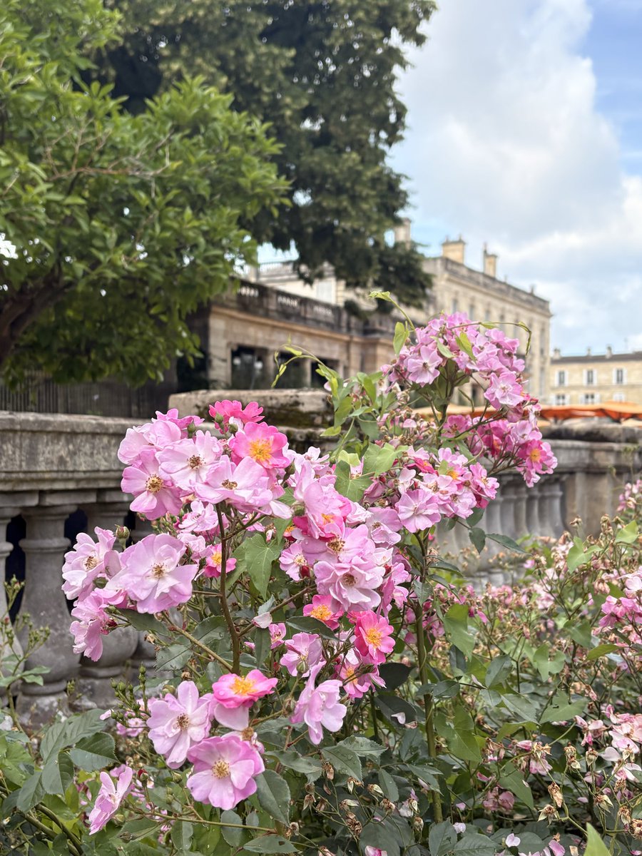 mlwcafjkt's tweet photo. Jardin public.
Bordeaux. 🇫🇷 https://t.co/YaQKjzkhnN