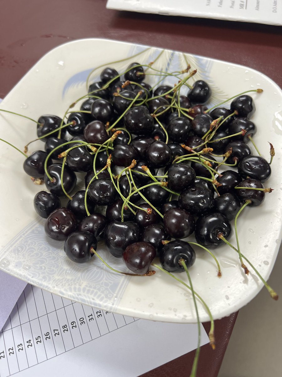 ophthguy's tweet photo. My colleague brought us gift directly from skardu :) https://t.co/YGxI4U7wO3