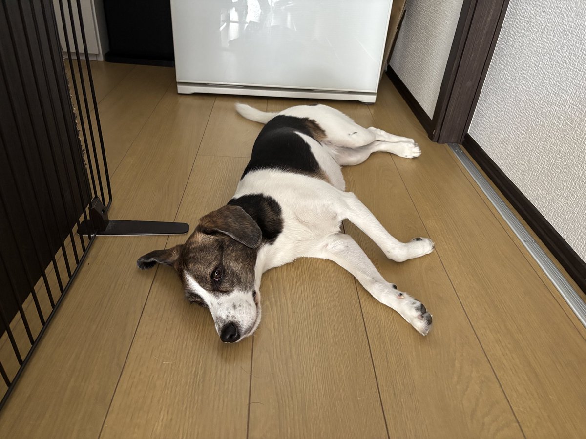 One92559554One's tweet photo. おはようone https://t.co/krBxOzVpjW