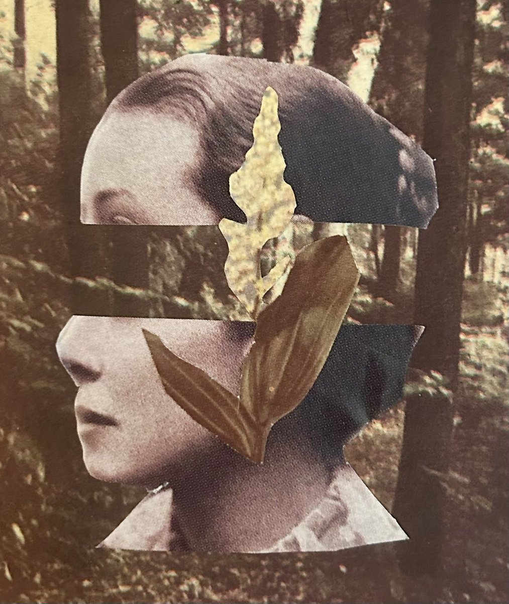 killianswake's tweet photo. collaging ??? https://t.co/wge876E0uF