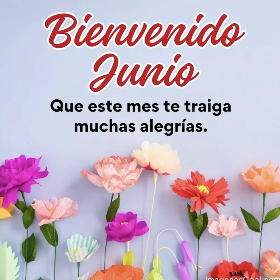 JAFuentesRubio's tweet photo. Para usted y familia @silvnavarro saludos desde #Chile 🇨🇱 ,y los mejores deseos para esta semana y nuevo mes 💪 
@CHICASDECALIPSO https://t.co/3lSmCzOLET