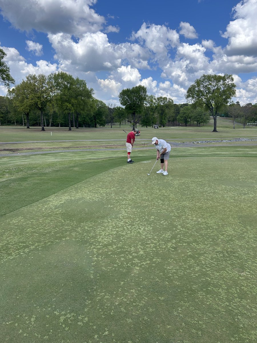 mvickersAR's tweet photo. @swaggolfco https://t.co/HMee3qDoSy