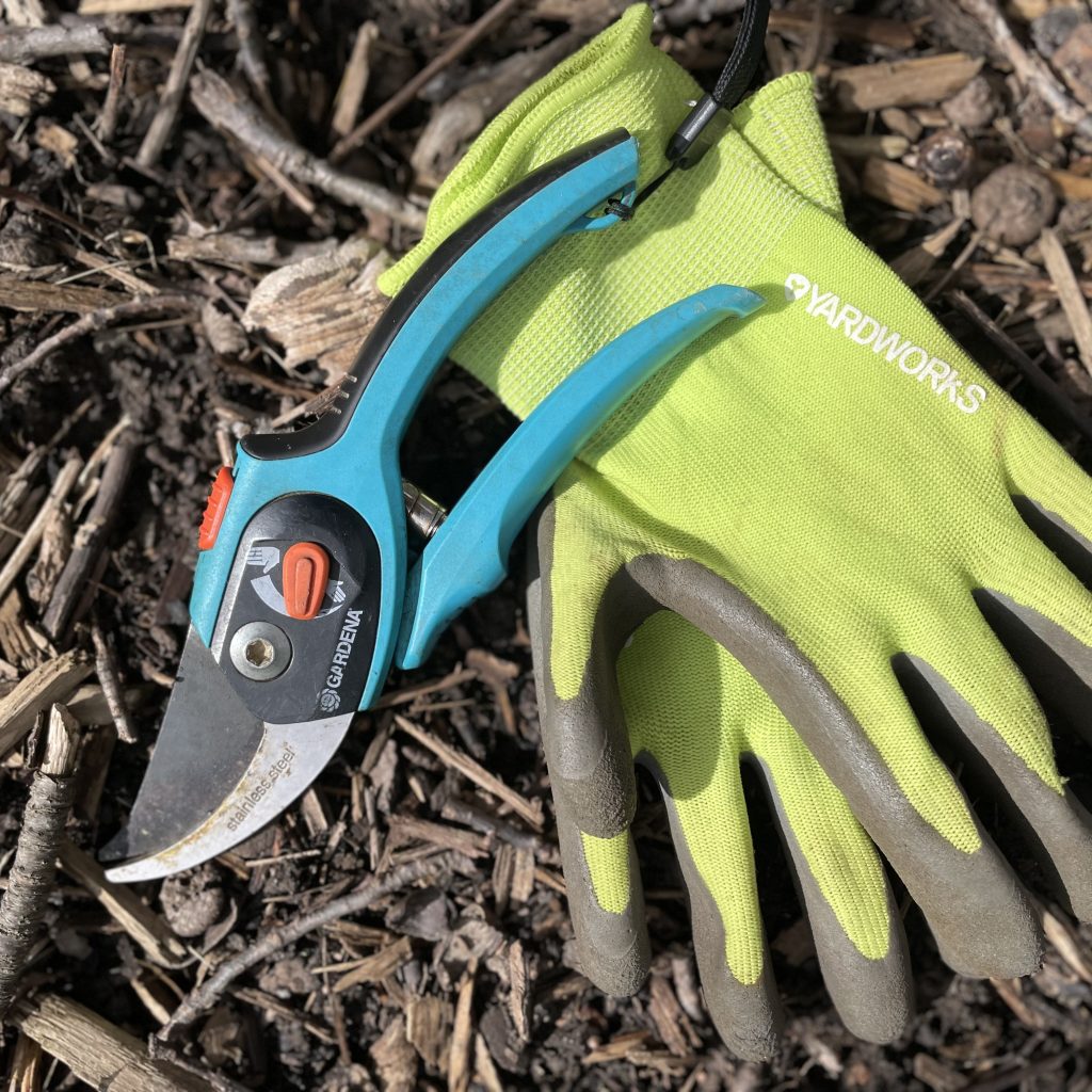 CVC_CA's tweet photo. #HungryHollowSNAP, growing season can be busy but don’t forget to join us for our Caring For Your Yard Workshop on June 10 for helpful tips and tricks from our gardening experts: https://t.co/T6xsTCq4R0

Can’t make it? Check out our other upcoming events and consult our sustainable landscaping resources: https://t.co/C3dblq3vrh
