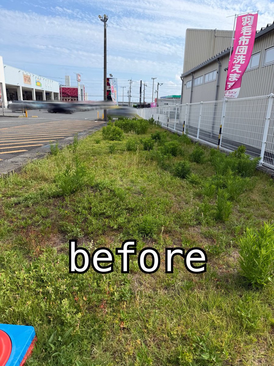 dynam_00138's tweet photo. おはようございます(* ॑꒳ ॑*)

先日、店舗敷地内の草刈りをしました🌿.•*
キレイになってます👍*゜

草刈りをしてくれた従業員に感謝です(*´︶`*)♡Thanks!

ながっちも少しだけ刈りました🌿.•*
なんと、一発でエンジンをかけれた 
嬉しい瞬間の写真↑↑↑笑笑

#ダイナム野市店 https://t.co/zaqhZG7AH9